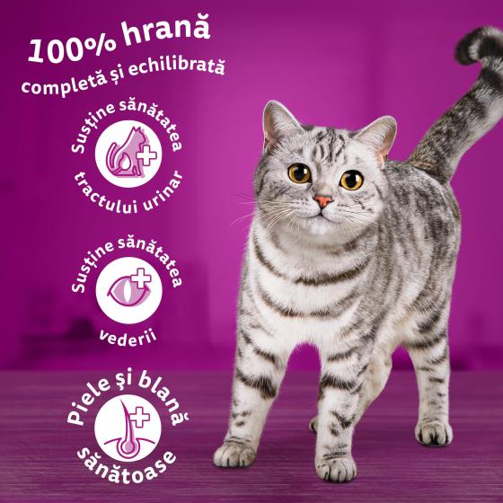 Hrana uscata pentru pisici Whiskas, Ton & Ficat, 14Kg buc