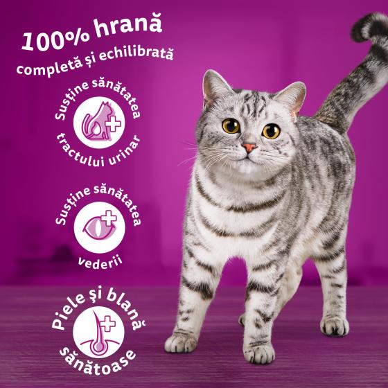 Hrana uscata pentru pisici Whiskas Sterile, Pui, 14Kg buc