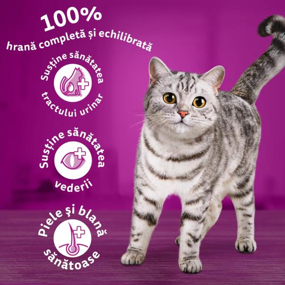 Hrana uscata pentru pisici Whiskas, Vita, 14Kg buc